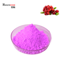 Factory Supply Cranberry Powder Pure Cranberry Fruit Powder for Beverage